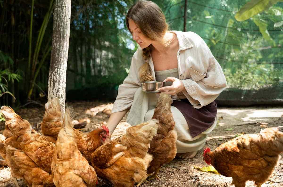 Полезные рецепты мешанки 